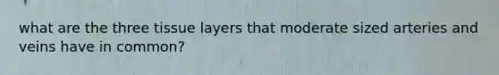 what are the three tissue layers that moderate sized arteries and veins have in common?