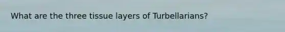 What are the three tissue layers of Turbellarians?