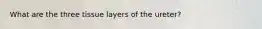 What are the three tissue layers of the ureter?
