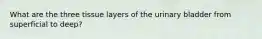 What are the three tissue layers of the urinary bladder from superficial to deep?