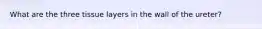 What are the three tissue layers in the wall of the ureter?