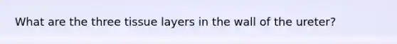 What are the three tissue layers in the wall of the ureter?