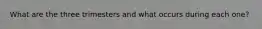 What are the three trimesters and what occurs during each one?