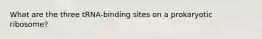 What are the three tRNA-binding sites on a prokaryotic ribosome?
