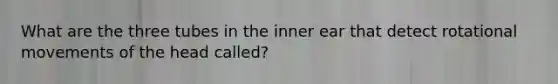 What are the three tubes in the inner ear that detect rotational movements of the head called?