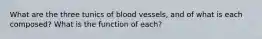 What are the three tunics of blood vessels, and of what is each composed? What is the function of each?