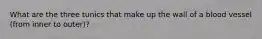 What are the three tunics that make up the wall of a blood vessel (from inner to outer)?
