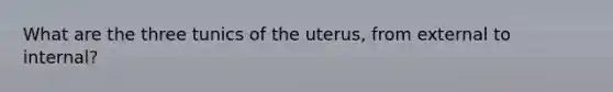 What are the three tunics of the uterus, from external to internal?