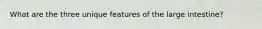 What are the three unique features of the large intestine?