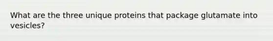 What are the three unique proteins that package glutamate into vesicles?