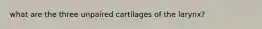 what are the three unpaired cartilages of the larynx?