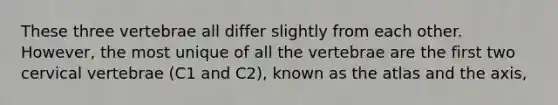 These three vertebrae all differ slightly from each other. However, the most unique of all the vertebrae are the first two cervical vertebrae (C1 and C2), known as the atlas and the axis,