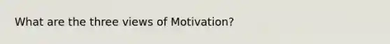 What are the three views of Motivation?