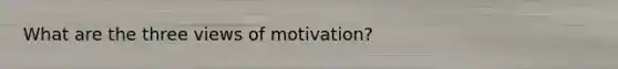 What are the three views of motivation?