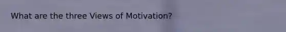 What are the three Views of Motivation?