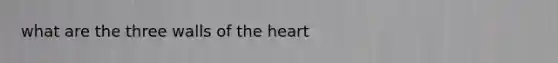 what are the three walls of the heart