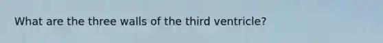 What are the three walls of the third ventricle?