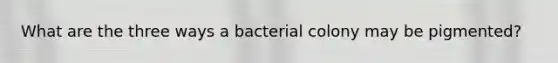 What are the three ways a bacterial colony may be pigmented?