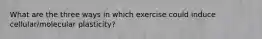 What are the three ways in which exercise could induce cellular/molecular plasticity?