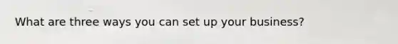 What are three ways you can set up your business?