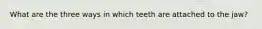 What are the three ways in which teeth are attached to the jaw?