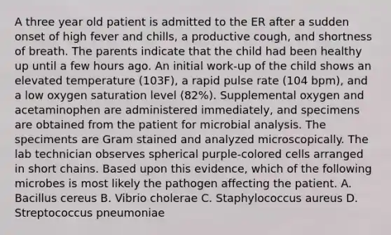 A three year old patient is admitted to the ER after a sudden onset of high fever and chills, a productive cough, and shortness of breath. The parents indicate that the child had been healthy up until a few hours ago. An initial work-up of the child shows an elevated temperature (103F), a rapid pulse rate (104 bpm), and a low oxygen saturation level (82%). Supplemental oxygen and acetaminophen are administered immediately, and specimens are obtained from the patient for microbial analysis. The speciments are Gram stained and analyzed microscopically. The lab technician observes spherical purple-colored cells arranged in short chains. Based upon this evidence, which of the following microbes is most likely the pathogen affecting the patient. A. Bacillus cereus B. Vibrio cholerae C. Staphylococcus aureus D. Streptococcus pneumoniae