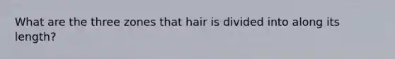 What are the three zones that hair is divided into along its length?