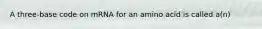 A three-base code on mRNA for an amino acid is called a(n)
