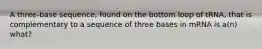 A three-base sequence, found on the bottom loop of tRNA, that is complementary to a sequence of three bases in mRNA is a(n) what?