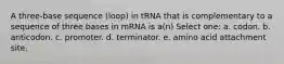 A three-base sequence (loop) in tRNA that is complementary to a sequence of three bases in mRNA is a(n) Select one: a. codon. b. anticodon. c. promoter. d. terminator. e. amino acid attachment site.