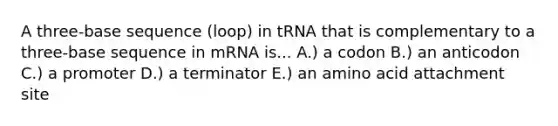 A three-base sequence (loop) in tRNA that is complementary to a three-base sequence in mRNA is... A.) a codon B.) an anticodon C.) a promoter D.) a terminator E.) an amino acid attachment site