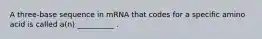 A three-base sequence in mRNA that codes for a specific amino acid is called a(n) __________ .