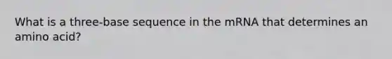 What is a three-base sequence in the mRNA that determines an amino acid?