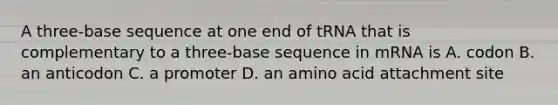 A three-base sequence at one end of tRNA that is complementary to a three-base sequence in mRNA is A. codon B. an anticodon C. a promoter D. an amino acid attachment site