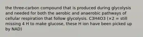 the three-carbon compound that is produced during glycolysis and needed for both the aerobic and anaerobic pathways of <a href='https://www.questionai.com/knowledge/k1IqNYBAJw-cellular-respiration' class='anchor-knowledge'>cellular respiration</a> that follow glycolysis. C3H4O3 (×2 = still missing 4 H to make glucose, these H ion have been picked up by NAD)