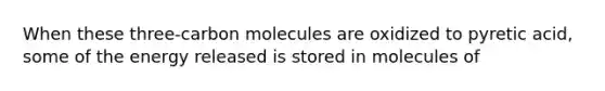 When these three-carbon molecules are oxidized to pyretic acid, some of the energy released is stored in molecules of