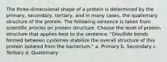 The three-dimensional shape of a protein is determined by the primary, secondary, tertiary, and in many cases, the quaternary structure of the protein. The following sentence is taken from scientific articles on protein structure. Choose the level of protein structure that applies best to the sentence. "Disulfide bonds formed between cysteines stabilize the overall structure of this protein isolated from the bacterium." a. Primary b. Secondary c. Tertiary d. Quaternary