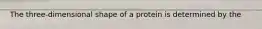 The three-dimensional shape of a protein is determined by the