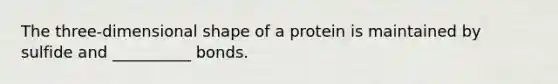 The three-dimensional shape of a protein is maintained by sulfide and __________ bonds.