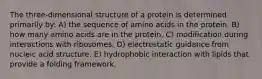 The three-dimensional structure of a protein is determined primarily by: A) the sequence of amino acids in the protein. B) how many amino acids are in the protein. C) modification during interactions with ribosomes. D) electrostatic guidance from nucleic acid structure. E) hydrophobic interaction with lipids that provide a folding framework.