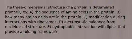 The three-dimensional structure of a protein is determined primarily by: A) the sequence of <a href='https://www.questionai.com/knowledge/k9gb720LCl-amino-acids' class='anchor-knowledge'>amino acids</a> in the protein. B) how many amino acids are in the protein. C) modification during interactions with ribosomes. D) electrostatic guidance from nucleic acid structure. E) hydrophobic interaction with lipids that provide a folding framework.