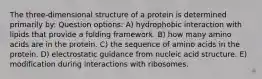 The three-dimensional structure of a protein is determined primarily by: Question options: A) hydrophobic interaction with lipids that provide a folding framework. B) how many amino acids are in the protein. C) the sequence of amino acids in the protein. D) electrostatic guidance from nucleic acid structure. E) modification during interactions with ribosomes.