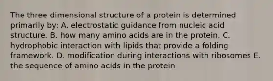 The three-dimensional structure of a protein is determined primarily by: A. electrostatic guidance from nucleic acid structure. B. how many <a href='https://www.questionai.com/knowledge/k9gb720LCl-amino-acids' class='anchor-knowledge'>amino acids</a> are in the protein. C. hydrophobic interaction with lipids that provide a folding framework. D. modification during interactions with ribosomes E. the sequence of amino acids in the protein