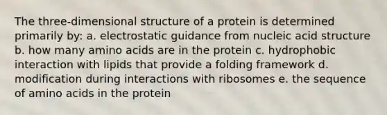 The three-dimensional structure of a protein is determined primarily by: a. electrostatic guidance from nucleic acid structure b. how many amino acids are in the protein c. hydrophobic interaction with lipids that provide a folding framework d. modification during interactions with ribosomes e. the sequence of amino acids in the protein