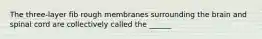 The three-layer fib rough membranes surrounding the brain and spinal cord are collectively called the ______