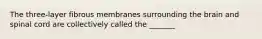 The three-layer fibrous membranes surrounding the brain and spinal cord are collectively called the _______