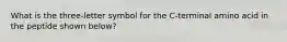 What is the three-letter symbol for the C-terminal amino acid in the peptide shown below?