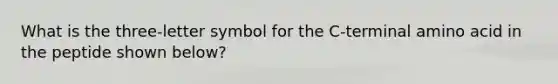 What is the three-letter symbol for the C-terminal amino acid in the peptide shown below?