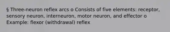 § Three-neuron reflex arcs o Consists of five elements: receptor, sensory neuron, interneuron, motor neuron, and effector o Example: flexor (withdrawal) reflex