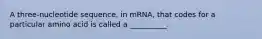 A three-nucleotide sequence, in mRNA, that codes for a particular amino acid is called a __________.